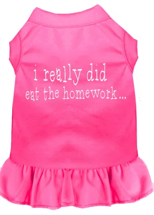 I Really Did Eat The Homework Screen Print Dress Bright Pink Sm
